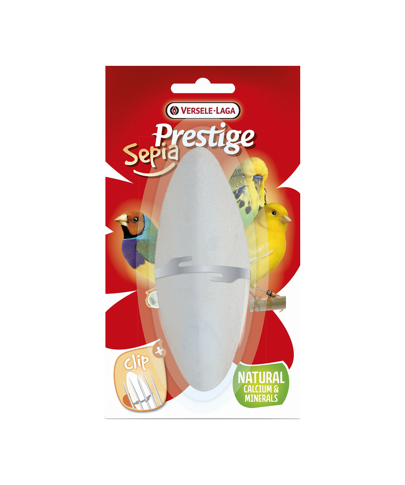Versele-Laga Osso di Seppia Naturale 16cm con supporto in blister Versele-Laga Osso di Seppia Naturale 16cm con supporto in blister